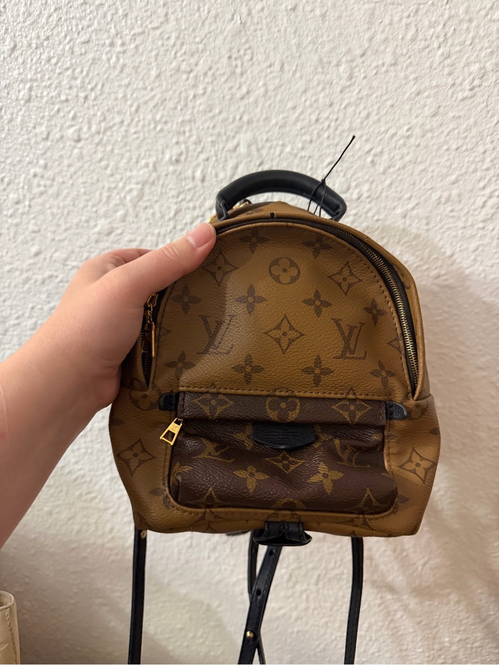 Louis Vuitton Monogram Mini Backpack in Two-Tone Brown